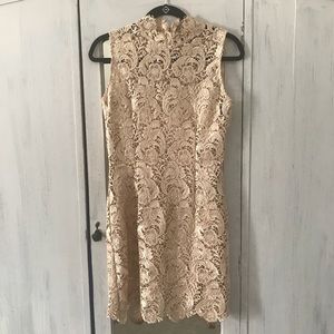 Lace Dress in Champagne